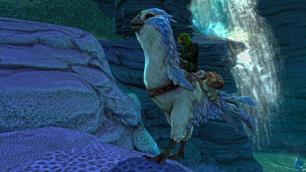 Rift_event_budgie_content2.jpg